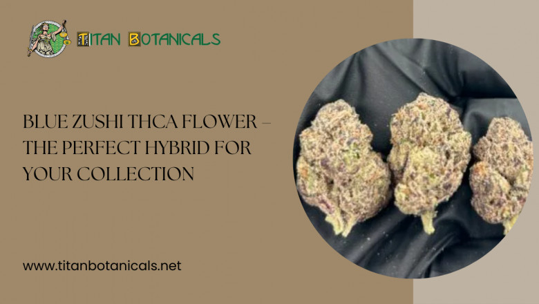 Blue Zushi THCa Flower – The Perfect Hybrid for Your Collection