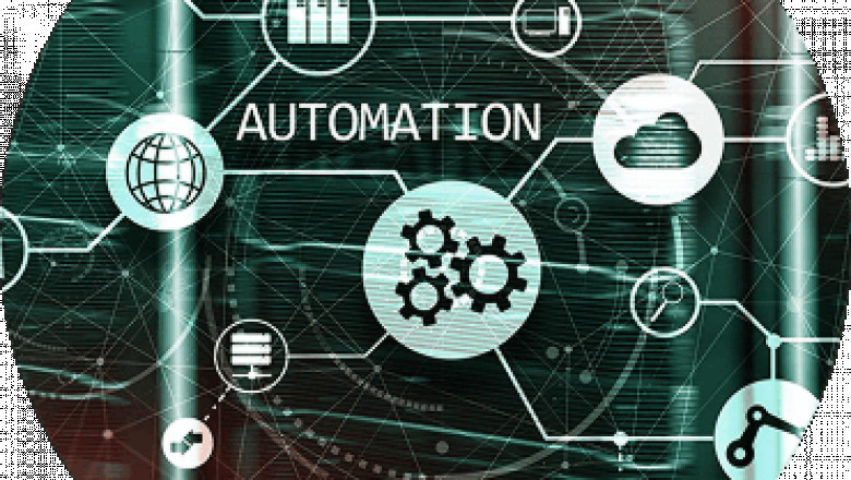 Can Small Businesses Compete with Automation Giants?