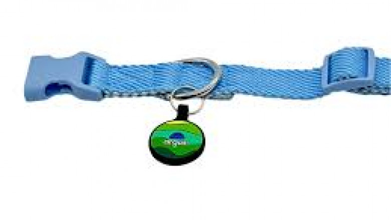 What Is a Pet Tracker and How Does It Keep Your Pet Safe?