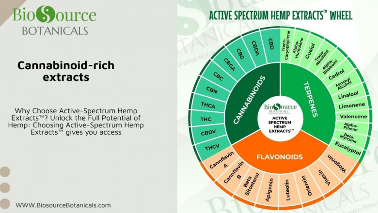 Discover the Power of Cannabinoid-Rich Extracts with Active Spectrum