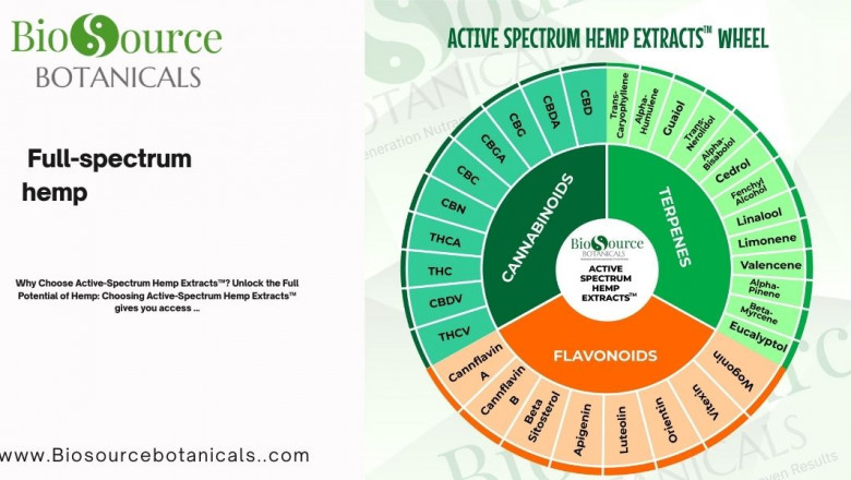 Experience the Power of Full-Spectrum Hemp: A Comprehensive Guide to Active Spectrum™