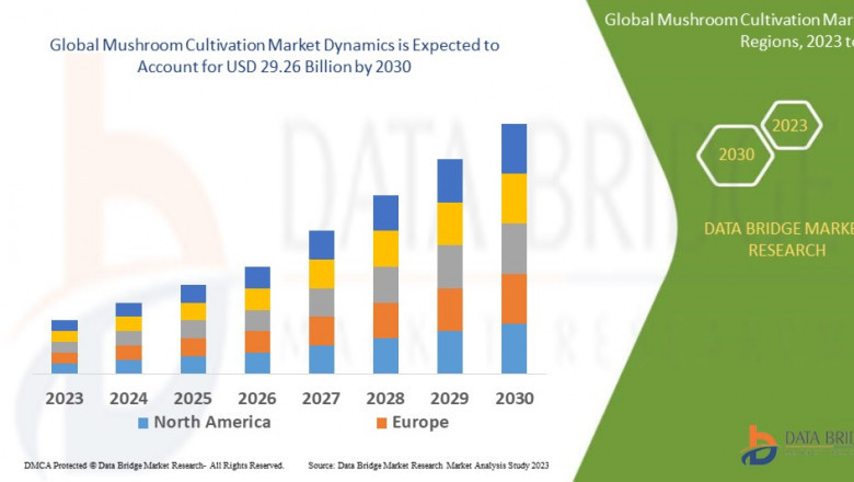 Mushroom Cultivation Market to reach USD 32.75 billion by 2032