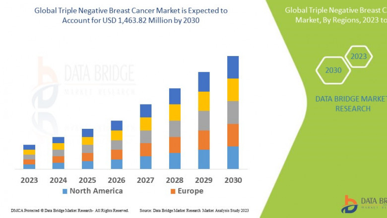 Triple Negative Breast Cancer Market to reach USD 1.63 billion by 2032