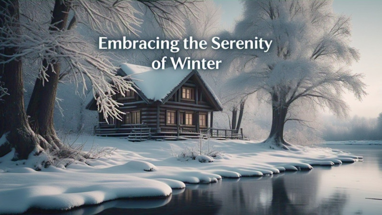Embracing the Serenity of Winter