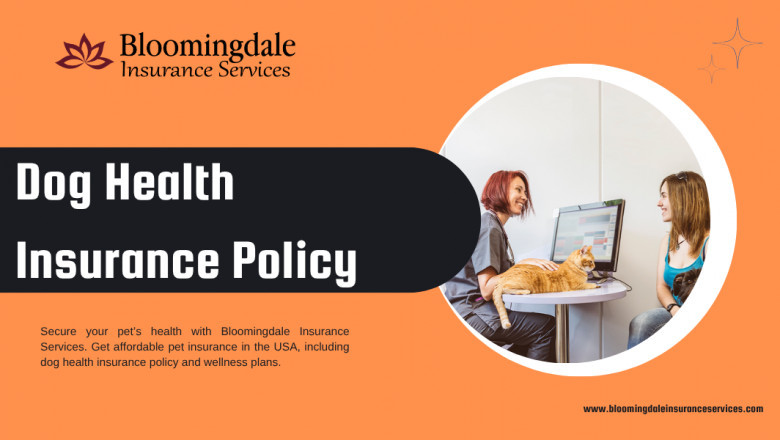 Secure Your Pet with Comprehensive Dog Health Insurance Policy by Bloomingdale Insurance Services