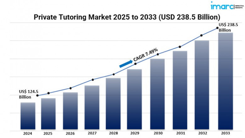 What Factors Are Driving Demand in the Global Private Tutoring Market?