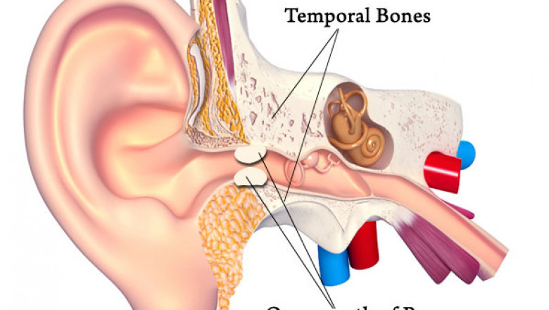 How a Surfers Ear Surgeon in Ventura Also Helps Tackle Sleep Apnea