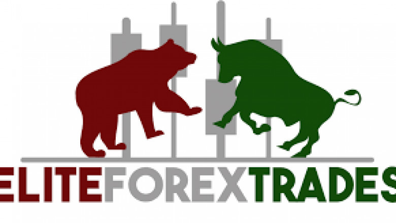 Understanding Forex Signals Providers: What They Are and How They Work