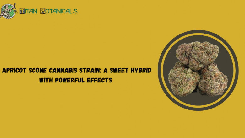 Experience the Ultimate High with Dior Runtz Weed Strain – Premium THCa Flower by Titan Botanicals