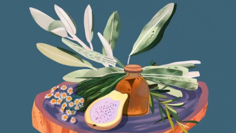 Naturopathic Coach Certification: Building a Career in Natural Health Support