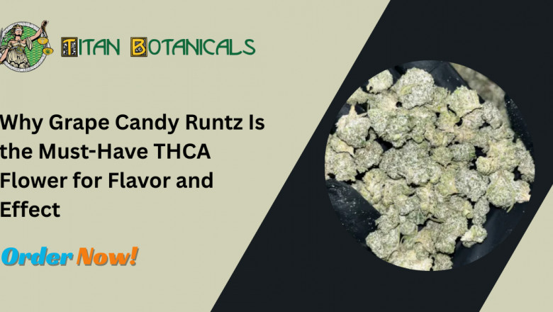 Why Grape Candy Runtz Is the Must-Have THCA Flower for Flavor and Effect