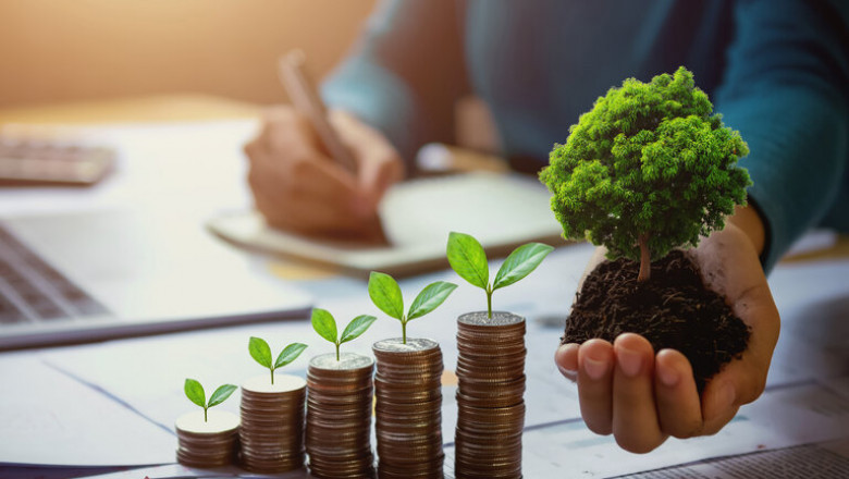 Your Guide on Portugal's Accounting Services and Company Registration