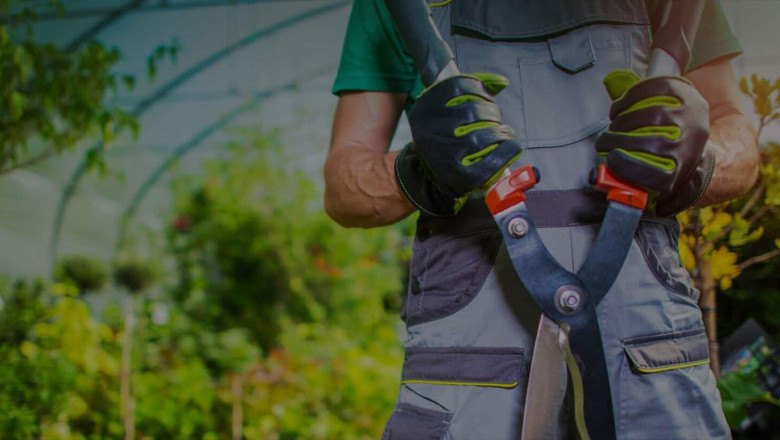 Enhance Your Home with Quality Screen Repairs in Oak Bay